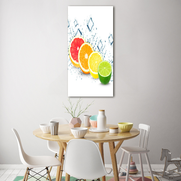 Acrylic wall art Citruses