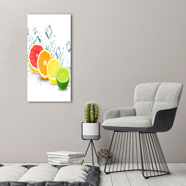 Acrylic wall art Citruses