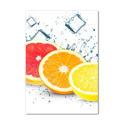 Acrylic wall art Citruses