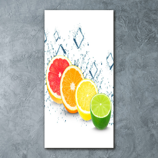 Acrylic wall art Citruses