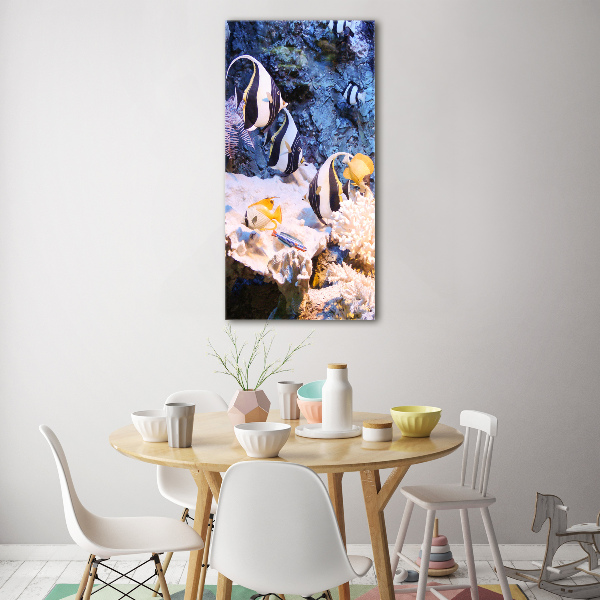 Acrylic print Coral reef