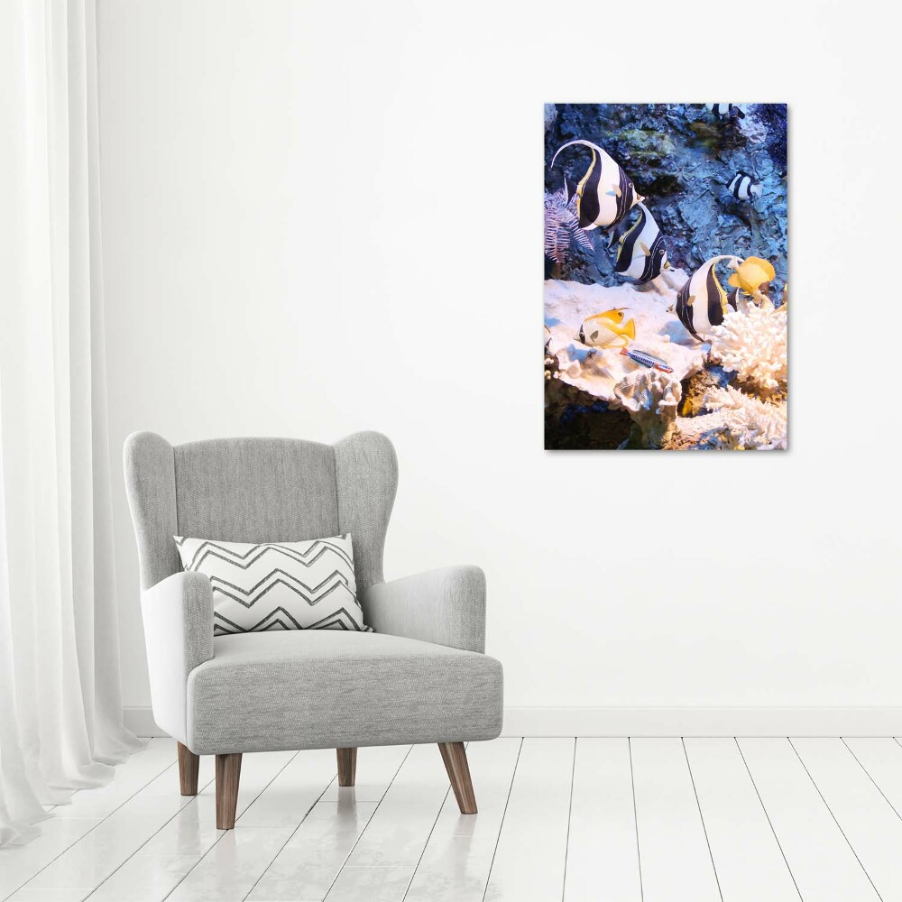 Acrylic print Coral reef