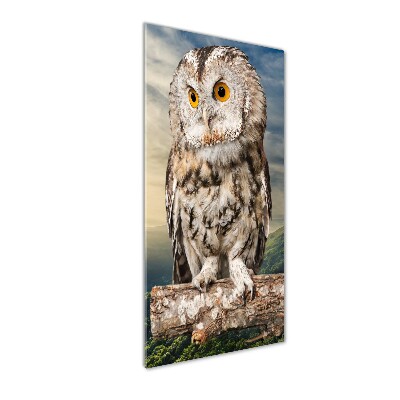 Acrylic wall art Owl on the hill