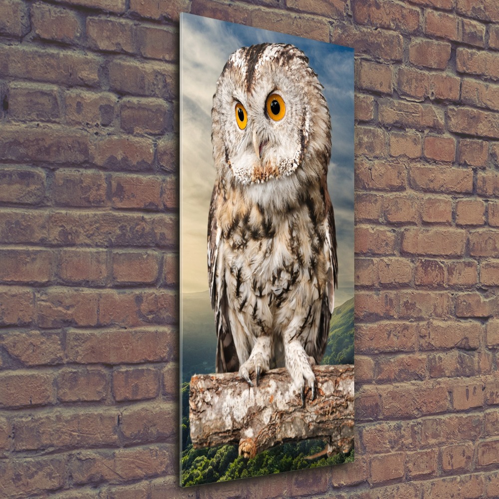 Acrylic wall art Owl on the hill