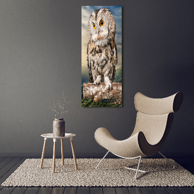 Acrylic wall art Owl on the hill