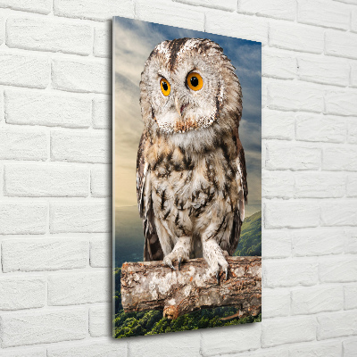 Acrylic wall art Owl on the hill