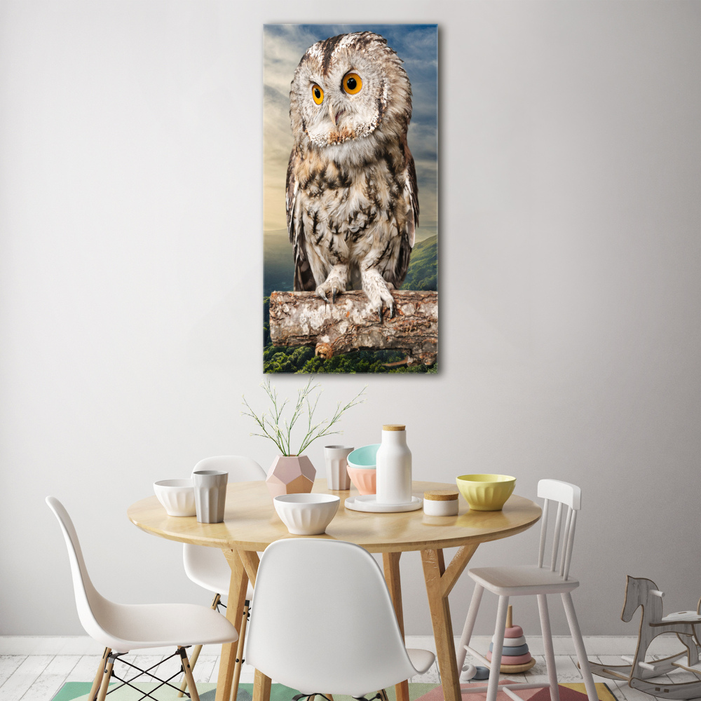 Acrylic wall art Owl on the hill