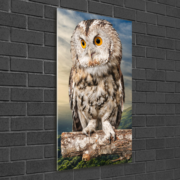 Acrylic wall art Owl on the hill