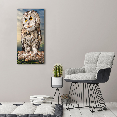 Acrylic wall art Owl on the hill