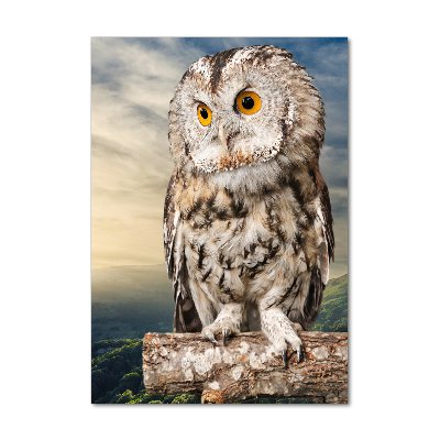 Acrylic wall art Owl on the hill