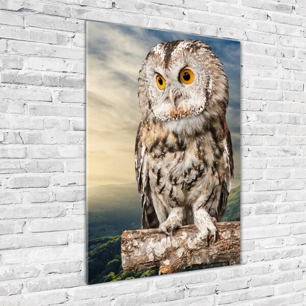 Acrylic wall art Owl on the hill