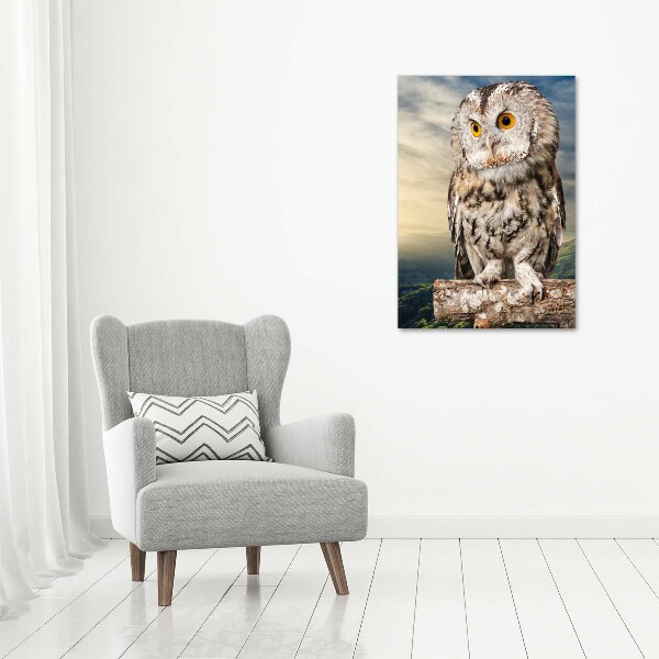 Acrylic wall art Owl on the hill