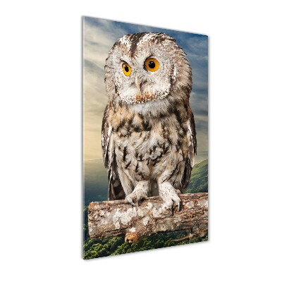 Acrylic wall art Owl on the hill