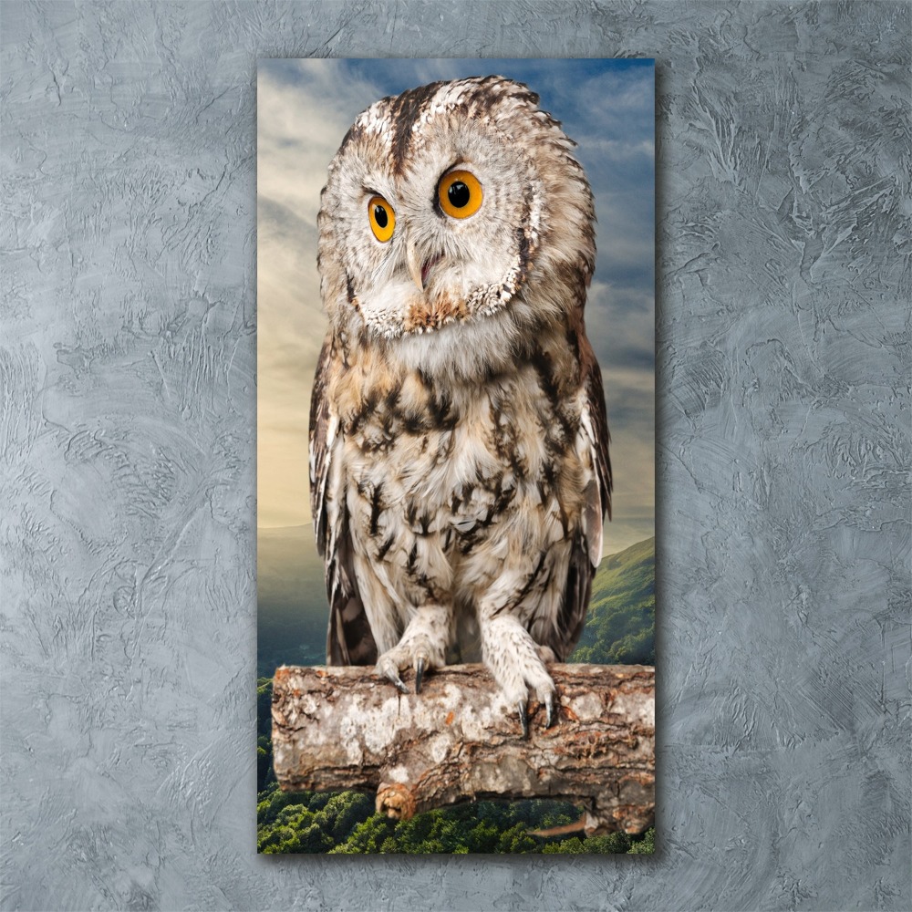 Acrylic wall art Owl on the hill