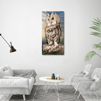 Acrylic wall art Owl on the hill