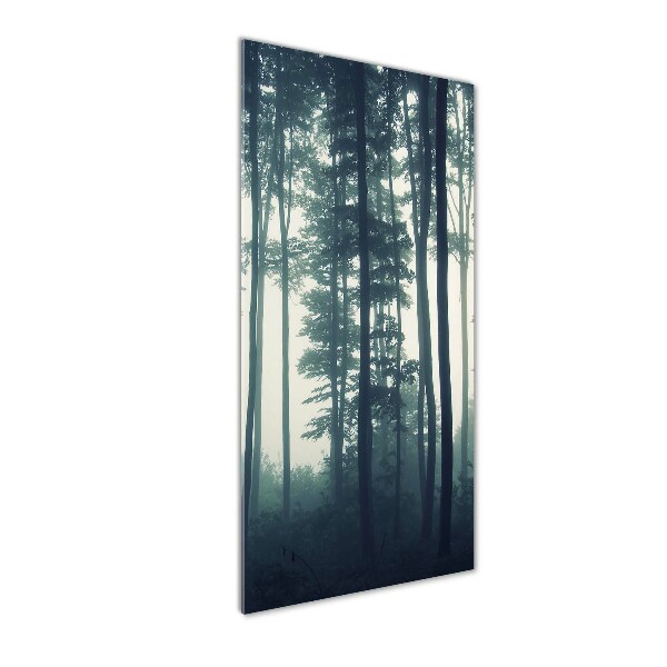 Print on acrylic glass Fog in the forest