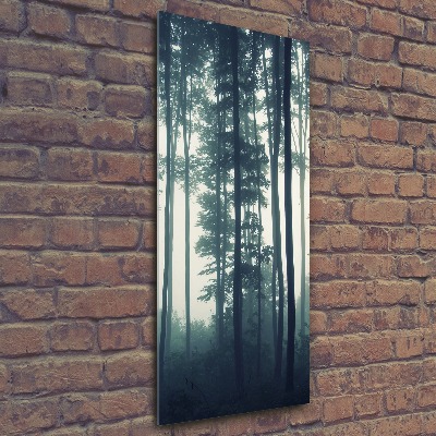 Print on acrylic glass Fog in the forest