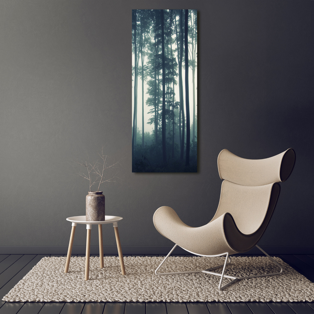 Print on acrylic glass Fog in the forest