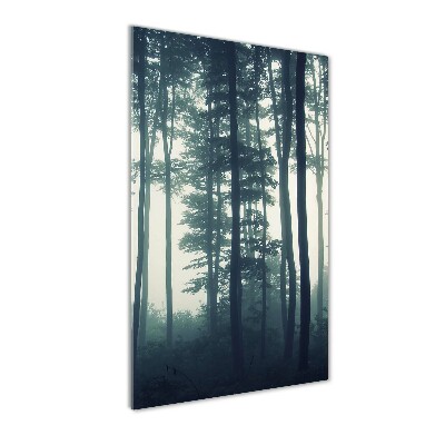 Print on acrylic glass Fog in the forest