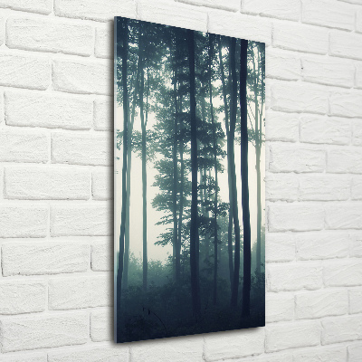 Print on acrylic glass Fog in the forest