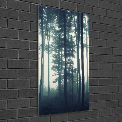 Print on acrylic glass Fog in the forest