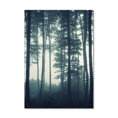 Print on acrylic glass Fog in the forest