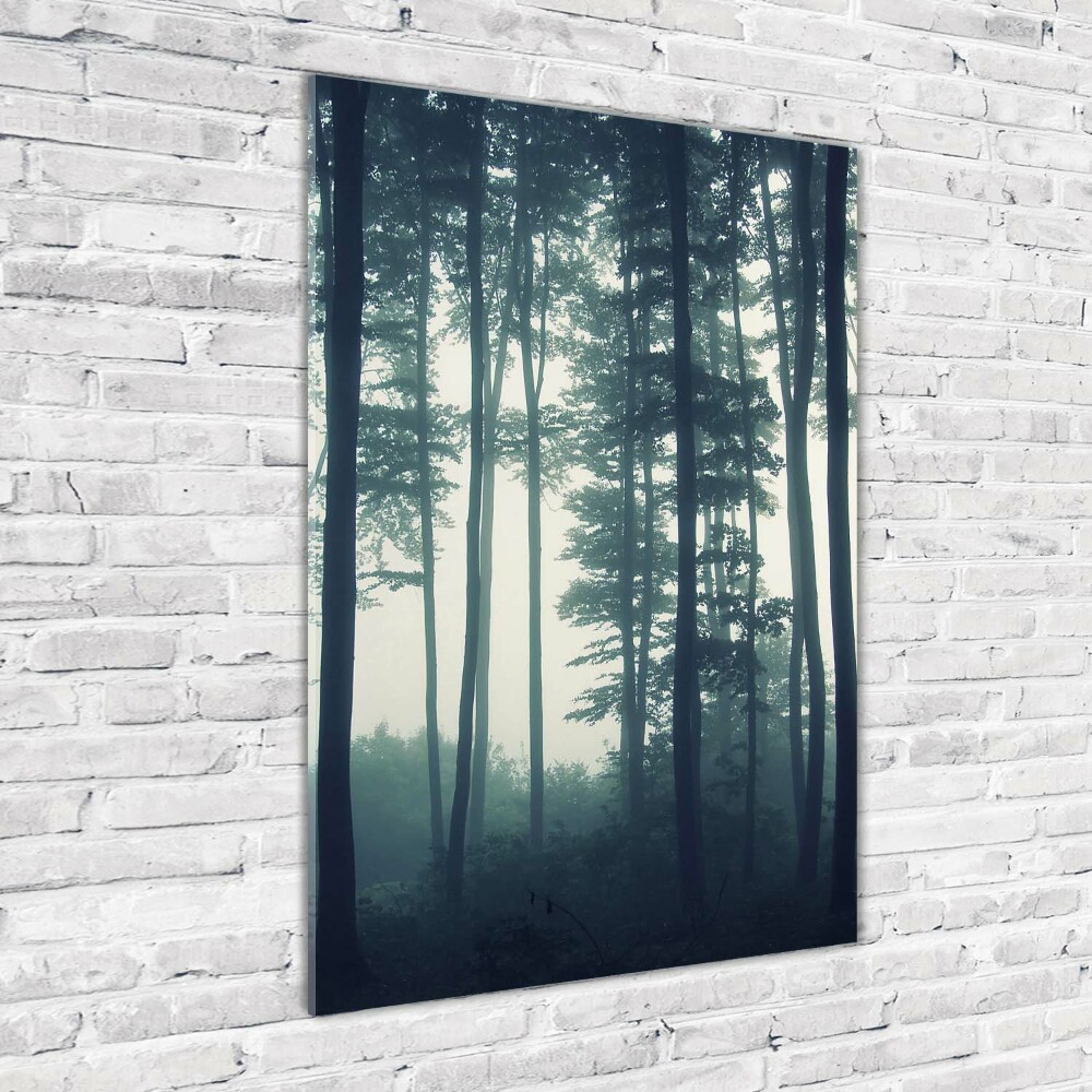 Print on acrylic glass Fog in the forest