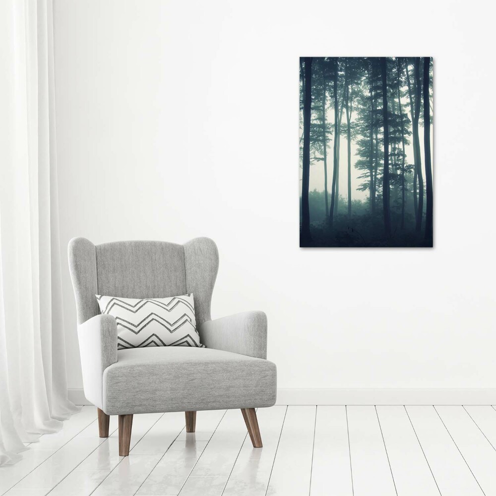 Print on acrylic glass Fog in the forest