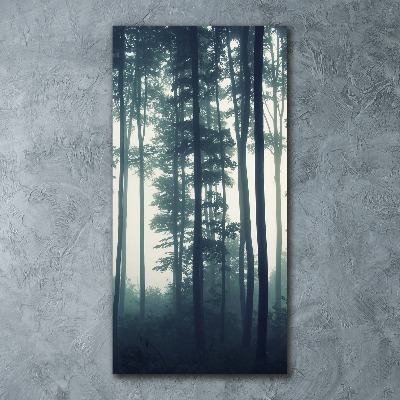 Print on acrylic glass Fog in the forest