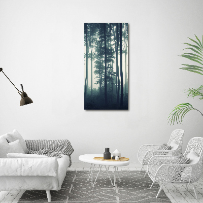 Print on acrylic glass Fog in the forest