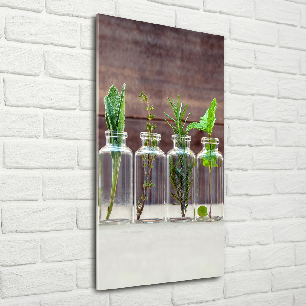 Print on acrylic Herbs in jars