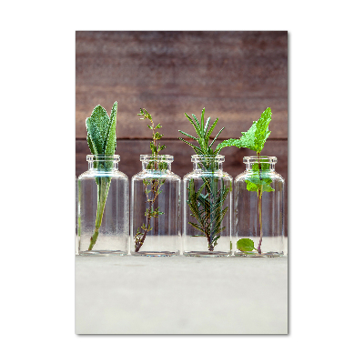 Print on acrylic Herbs in jars