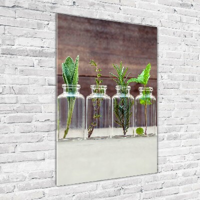 Print on acrylic Herbs in jars