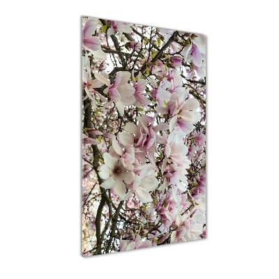 Acrylic print Magnolia flowers