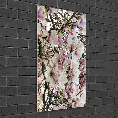 Acrylic print Magnolia flowers