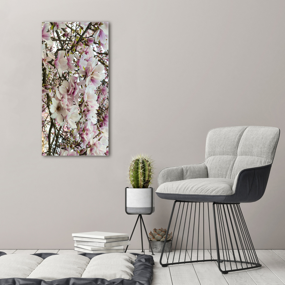 Acrylic print Magnolia flowers