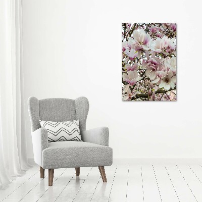 Acrylic print Magnolia flowers