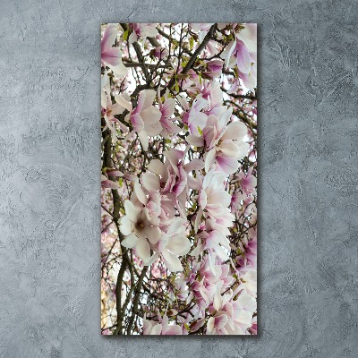 Acrylic print Magnolia flowers