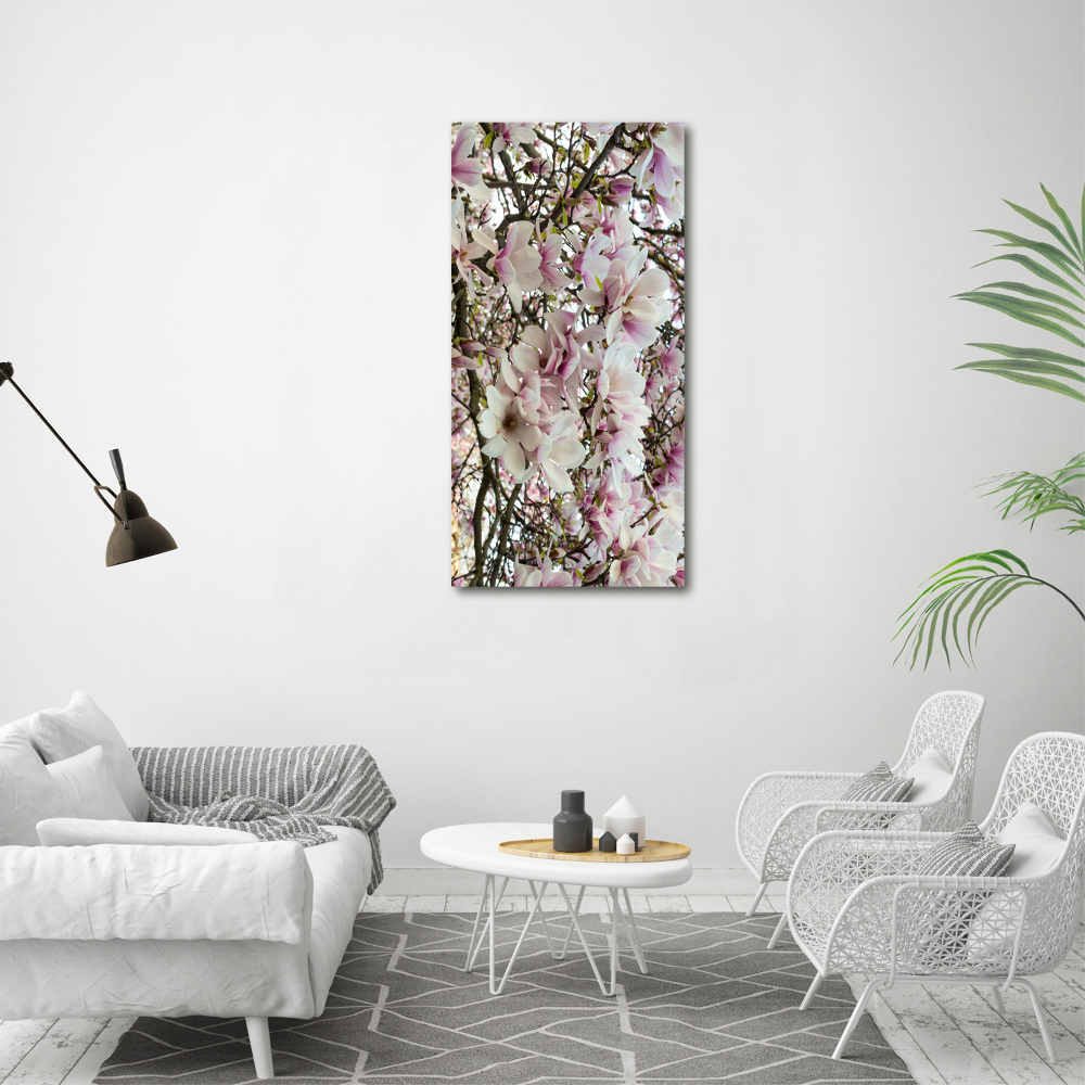 Acrylic print Magnolia flowers