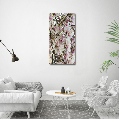 Acrylic print Magnolia flowers