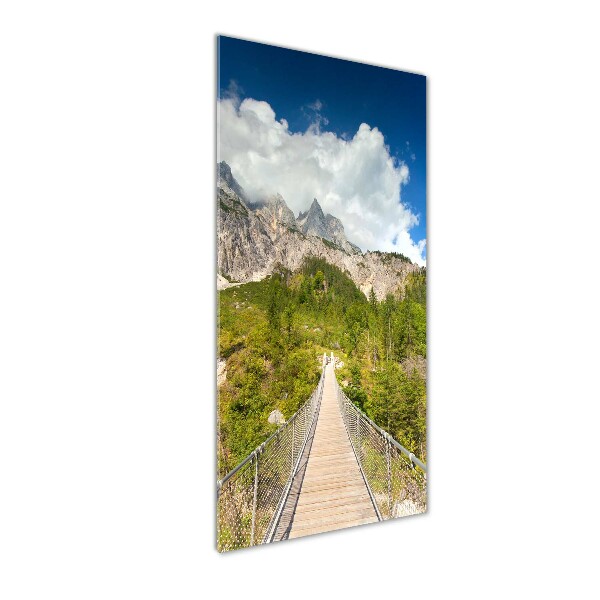 Acrylic print Hanging bridge