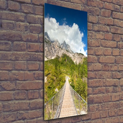 Acrylic print Hanging bridge