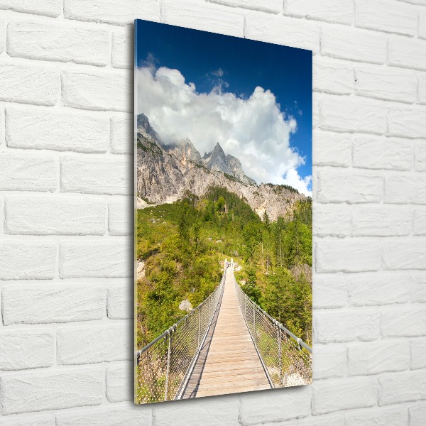 Acrylic print Hanging bridge