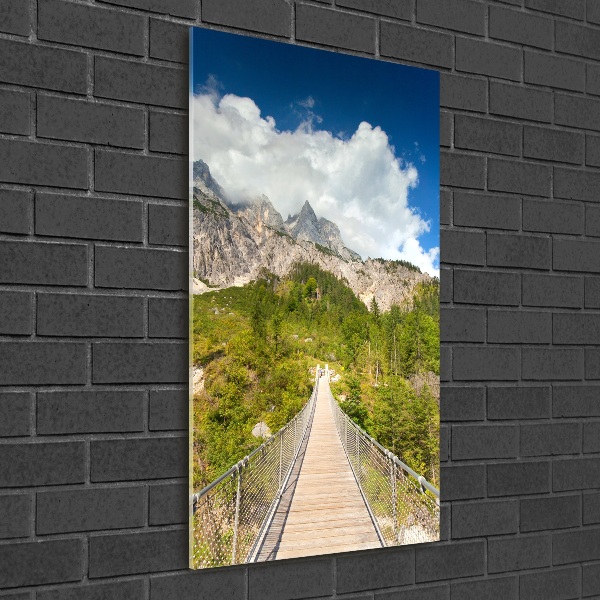 Acrylic print Hanging bridge