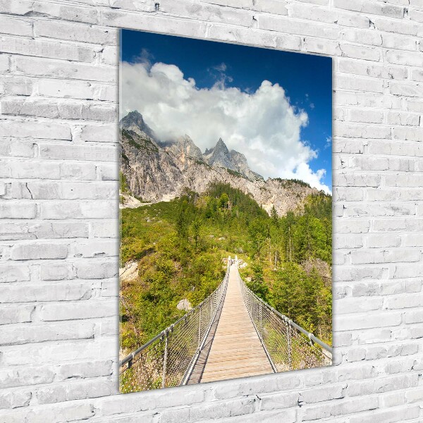 Acrylic print Hanging bridge