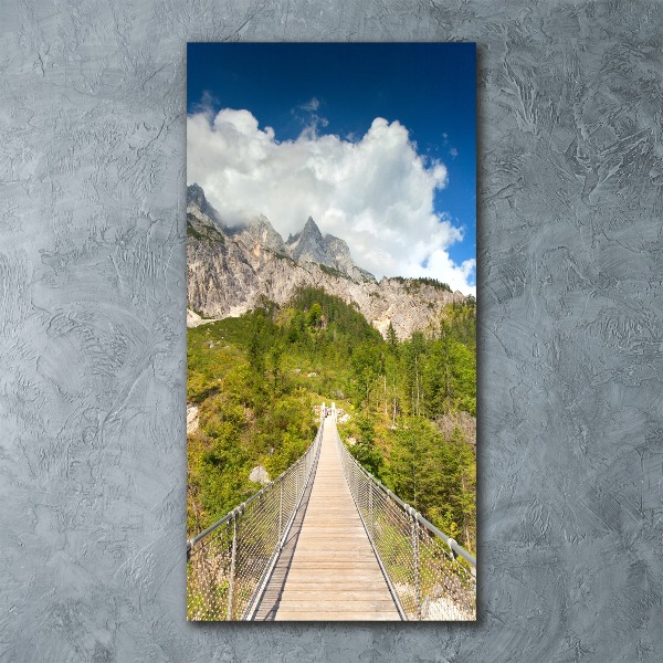 Acrylic print Hanging bridge