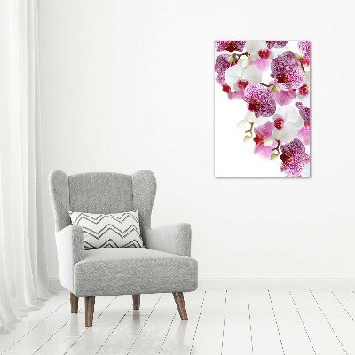 Acrylic print Orchid