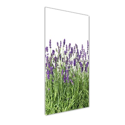 Print on acrylic glass Lavender field