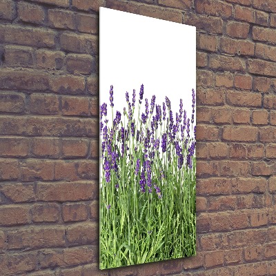 Print on acrylic glass Lavender field