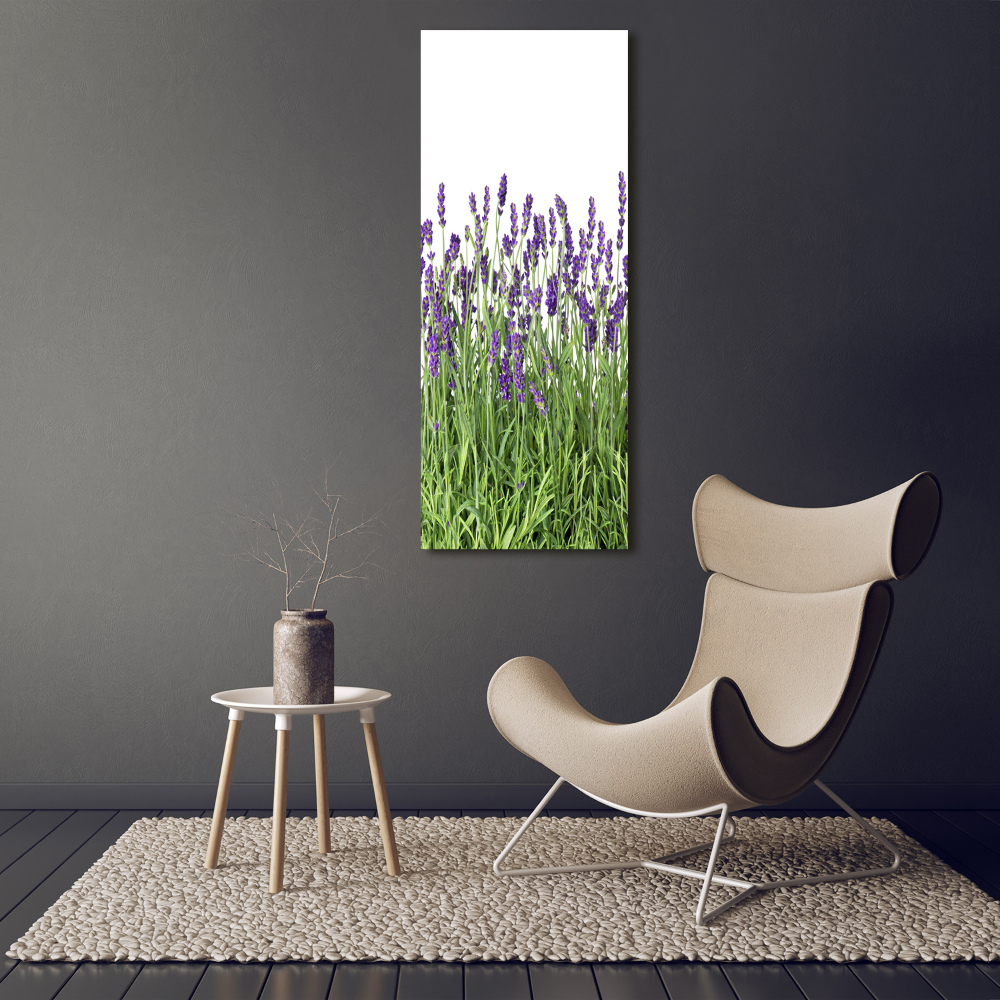 Print on acrylic glass Lavender field